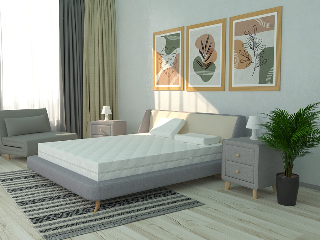 Идеал Тип 6а (Aloe vera)